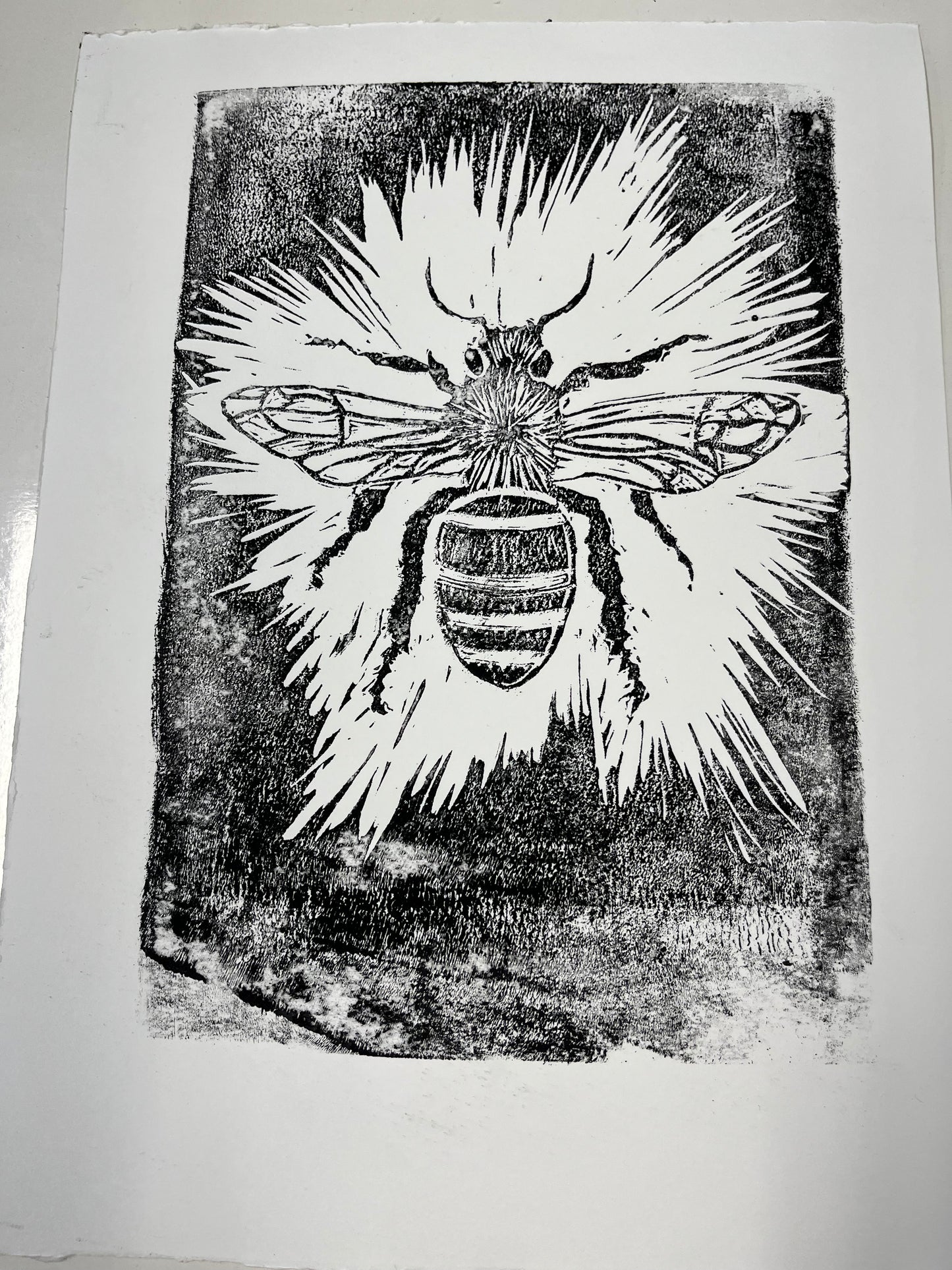 Lino, Print & Sip at Home Kit