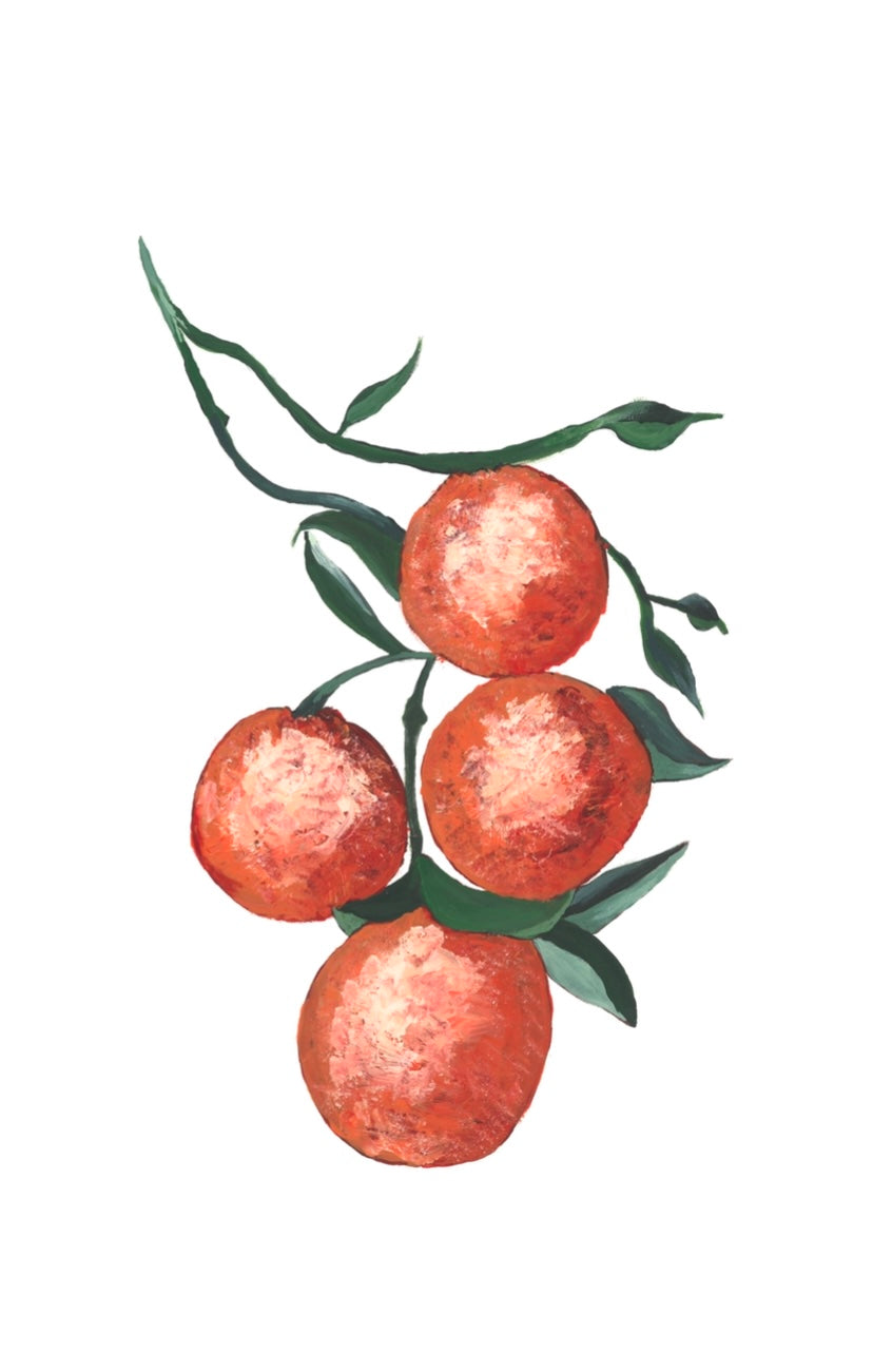 Tuscany Citrus Prints: A Series by Maree Quinn