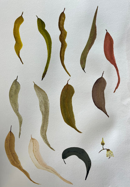 Water Colour Course Bundle | Mondays 10am