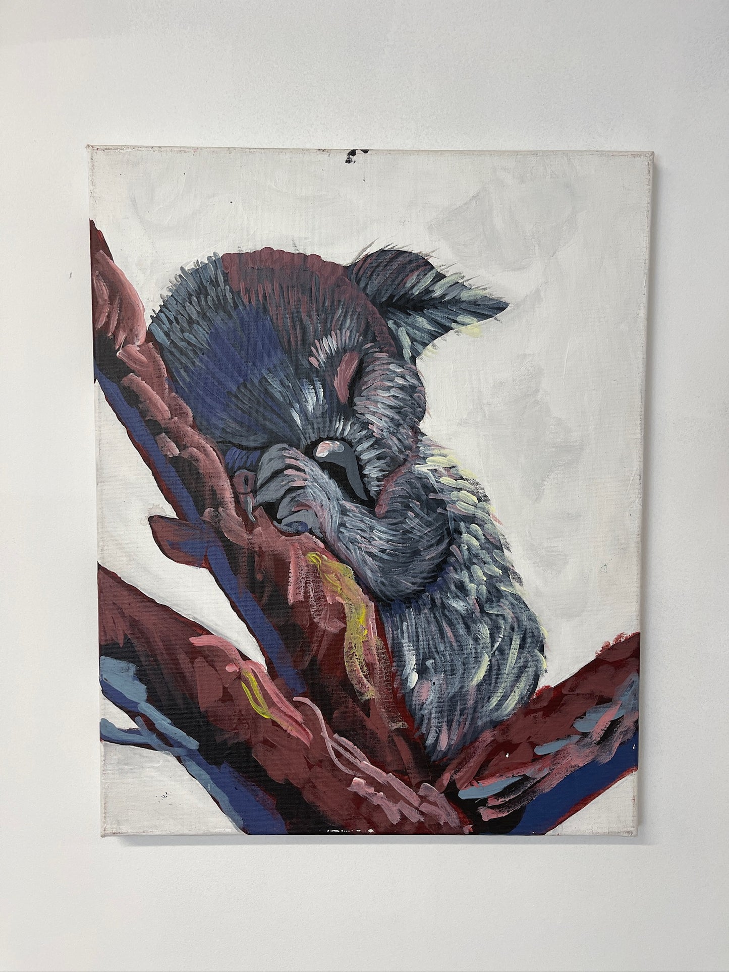 Sip & Paint | Sleepy Koala | Friday 14th February | 6pm