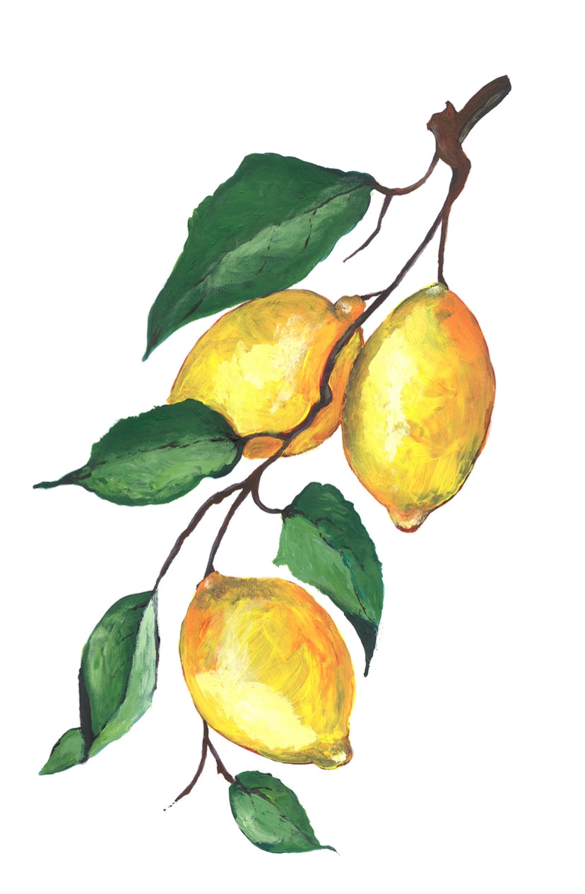 Tuscany Citrus Prints: A Series by Maree Quinn